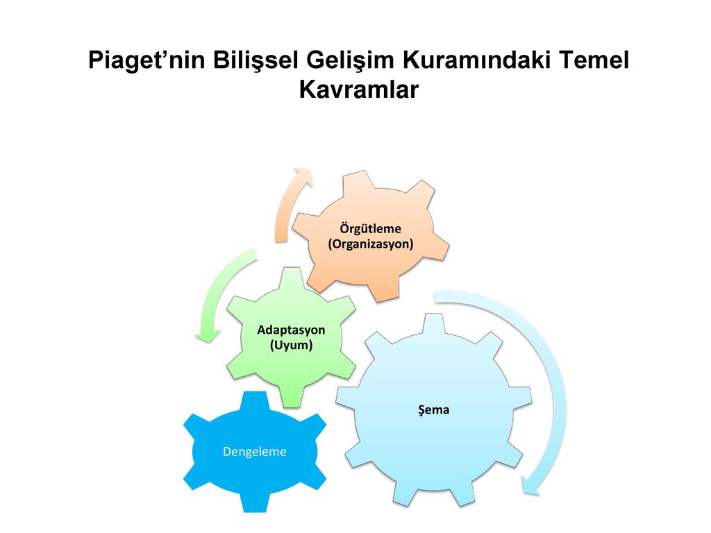 OCUK GEL M NDE KURAMLAR VE KAR ILA TIRILMASI ppt indir